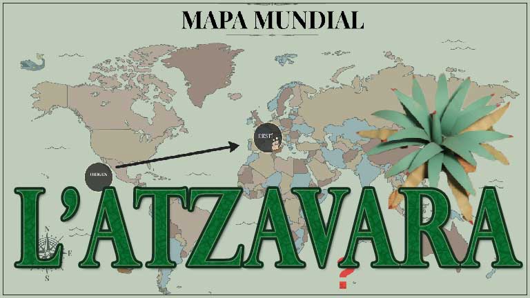 l'Atzavara